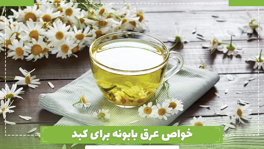 خواص عرق بابونه برای کبد